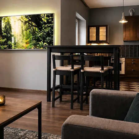 Apartment Insen Manufaktura Sauna I Masaze Superior Lodz